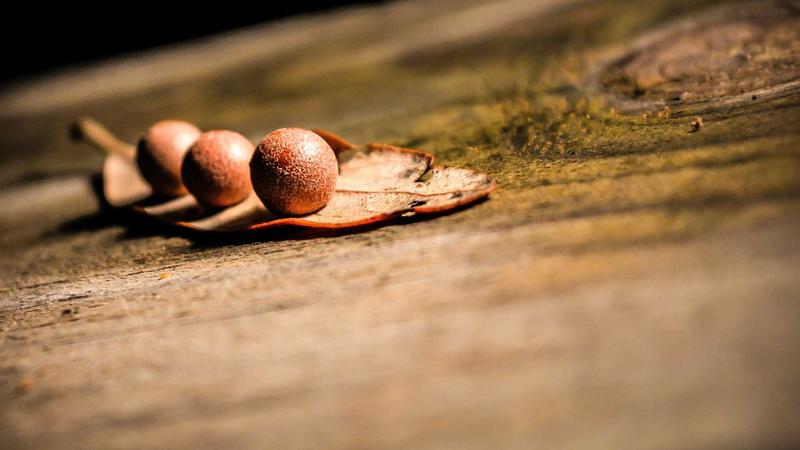 Bernardo Silva chính thức thông báo rời Manchester City: Barca là ưu tiên hàng đầu