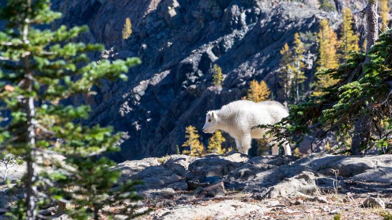 Mohamed Salah chính thức rời Liverpool: Từ biểu tượng Anfield đến kỷ nguyên mới