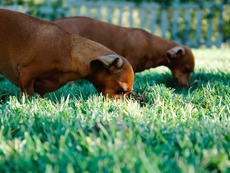 Nations League la gi va tai sao giai dau nay ngay cang hap dan