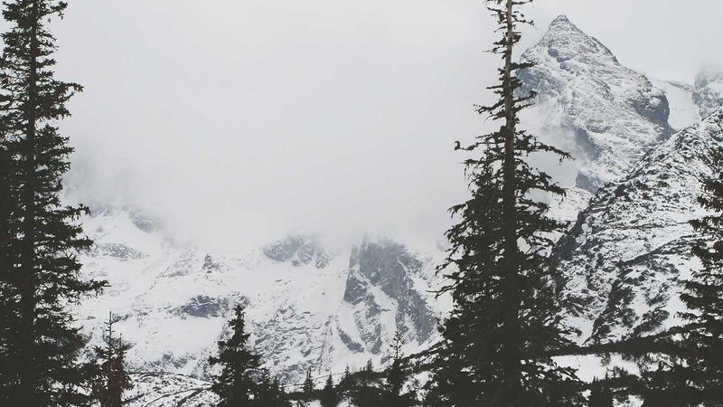 Harry Kane Tại Bernabeu: Bàn Thắng Quyết Định và Vai Trò Không Thể Thay Thế của Anh Với Bayern Munich